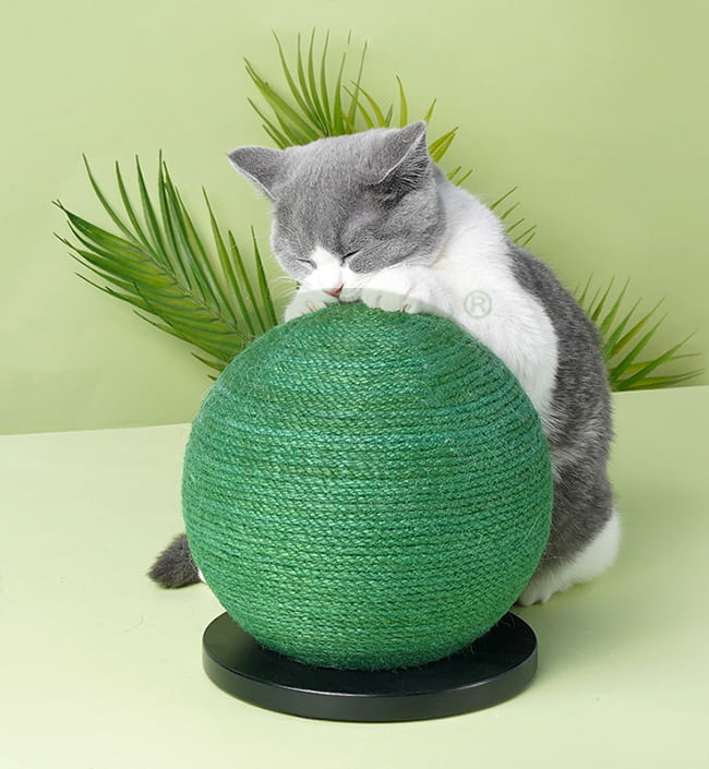 Cat Scratching Ball