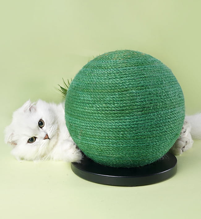 Cat Scratching Ball