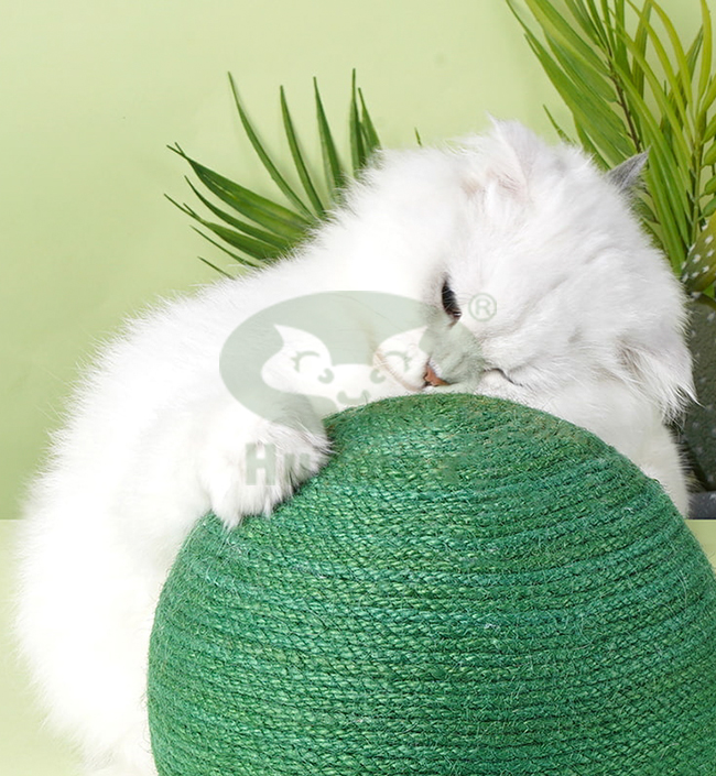 Cat Scratching Ball