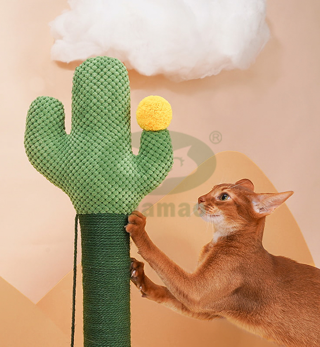 Cactus Scratching Post