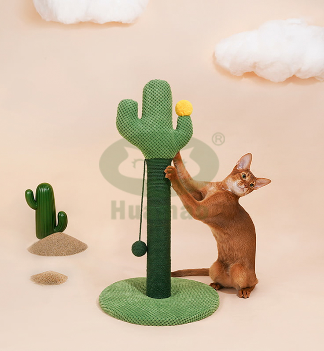 Cactus Scratching Post