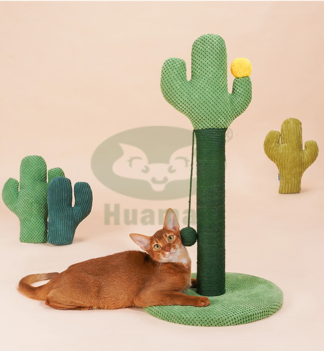 Cactus Scratching Post