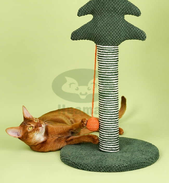 Durable Cat Scratcher