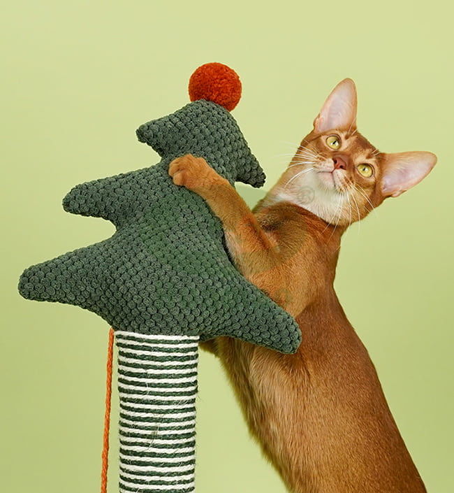 Durable Cat Scratcher