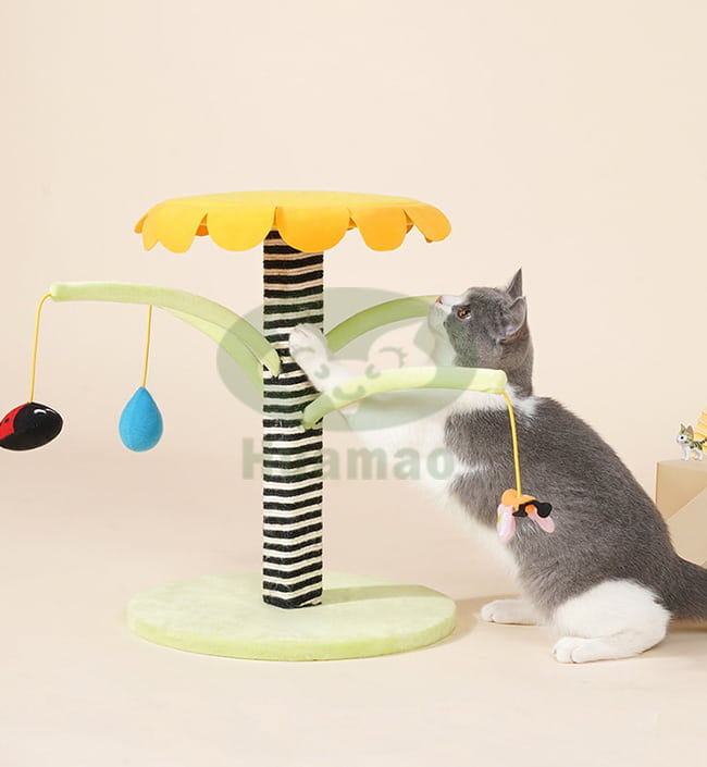 Toys Cat Scratcher