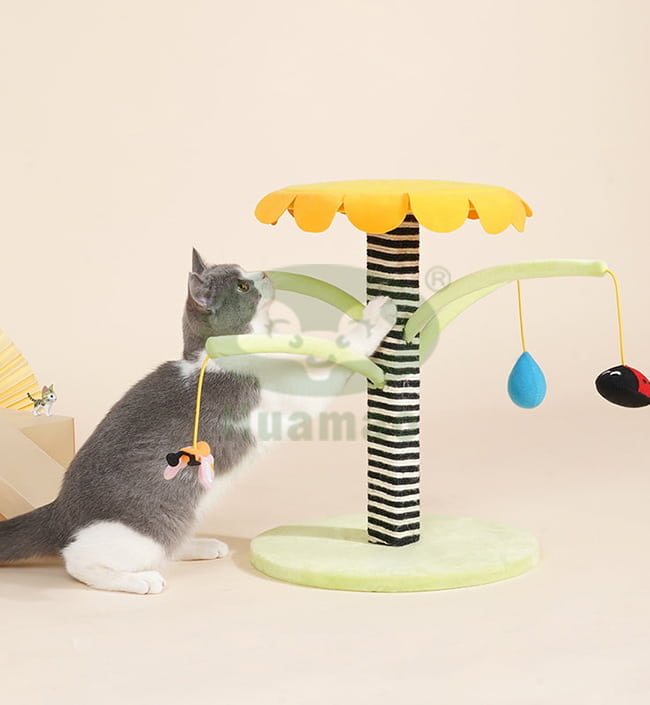 Toys Cat Scratcher