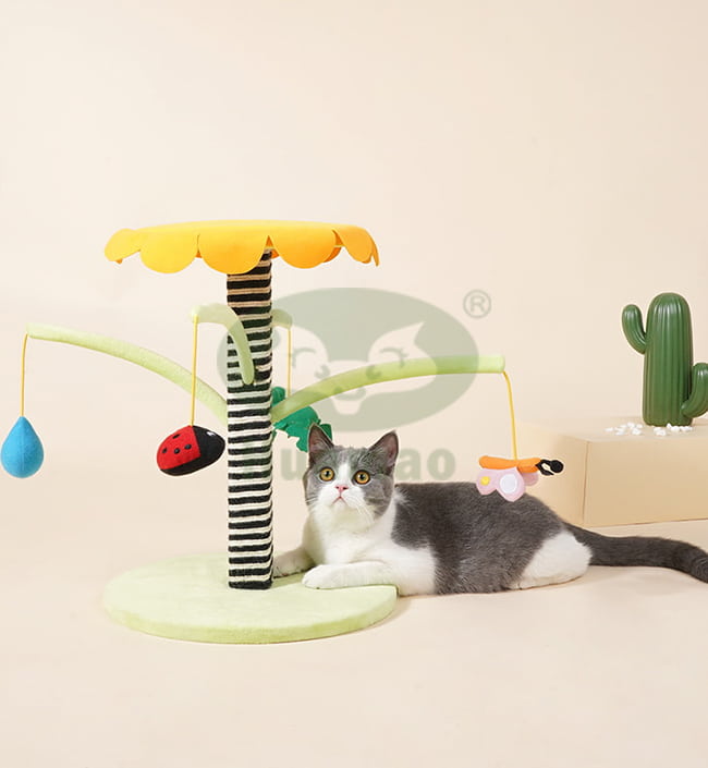 Toys Cat Scratcher