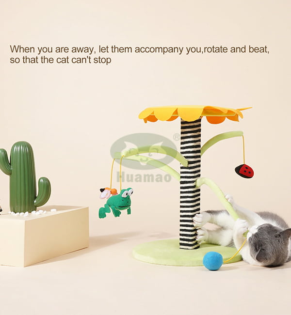 Toys Cat Scratcher