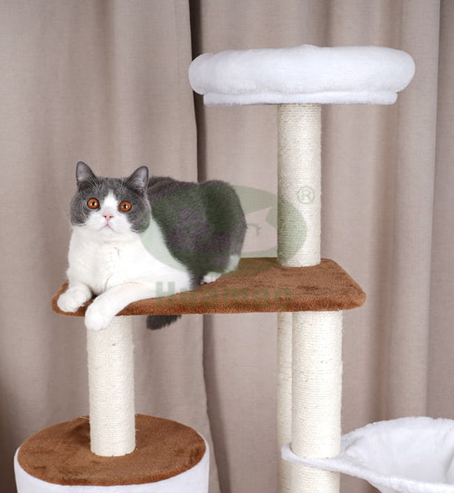 The Five-Layer Cat Tree