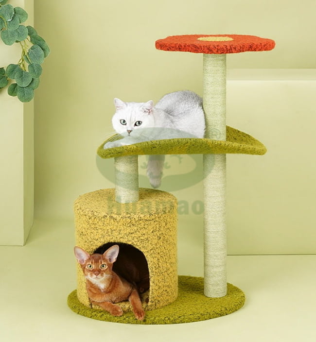 Unique Cat house