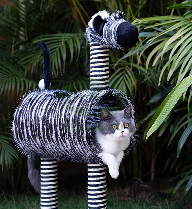 Zebra Cat tree