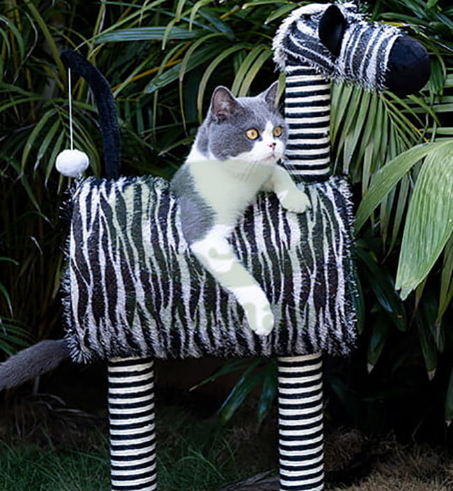 Zebra Cat tree