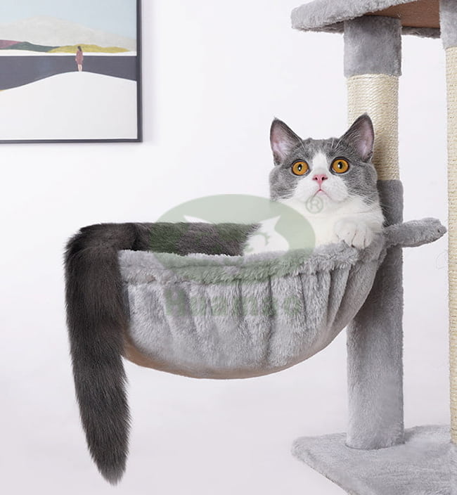 Indoor Cat tree