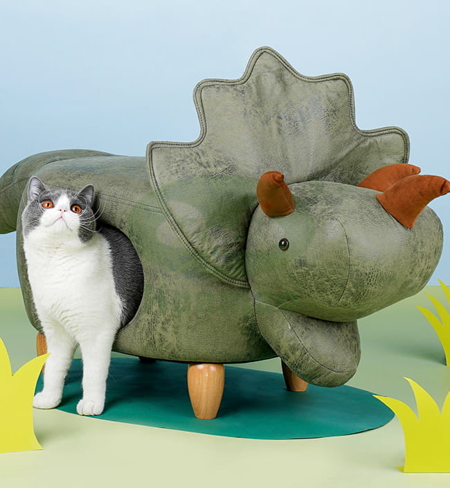 Animal Cat Stool House