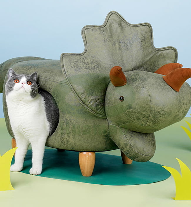 Animal Cat Stool House